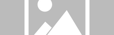 体育app-追梦：尊重米奇坚持用福克斯 但他需要根据实时情况做出调整！